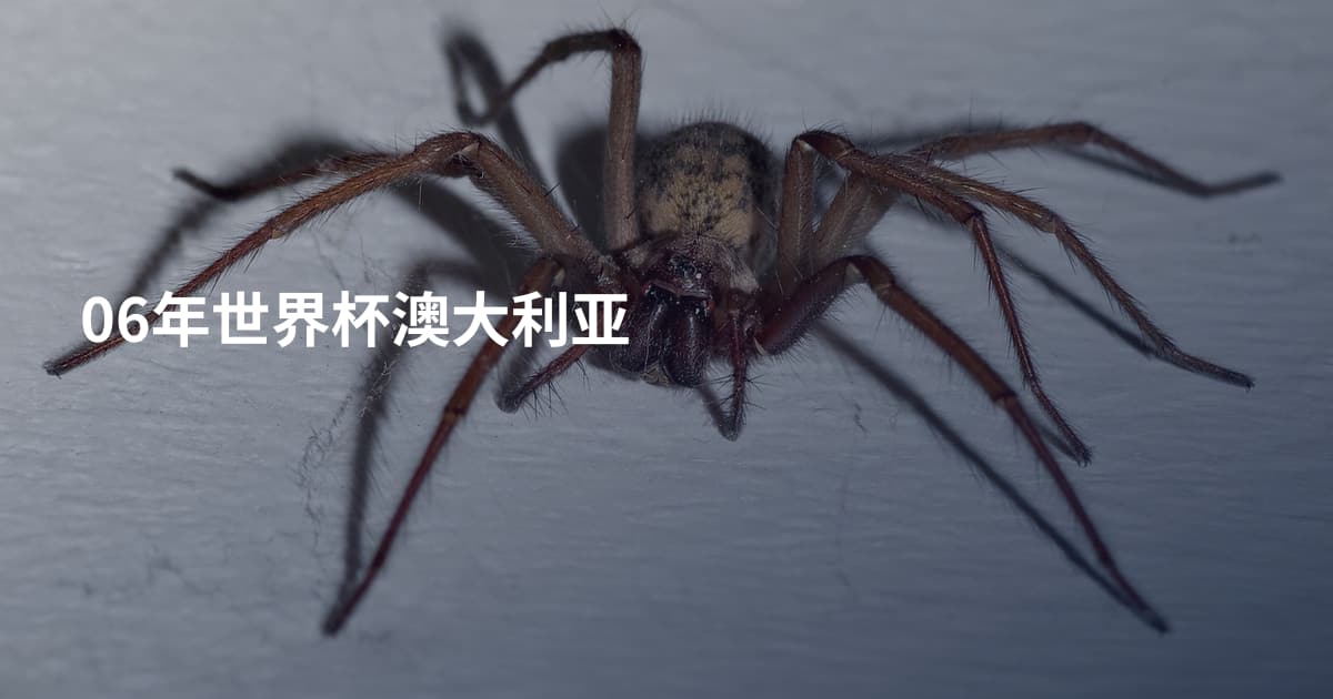 06年世界杯澳大利亚