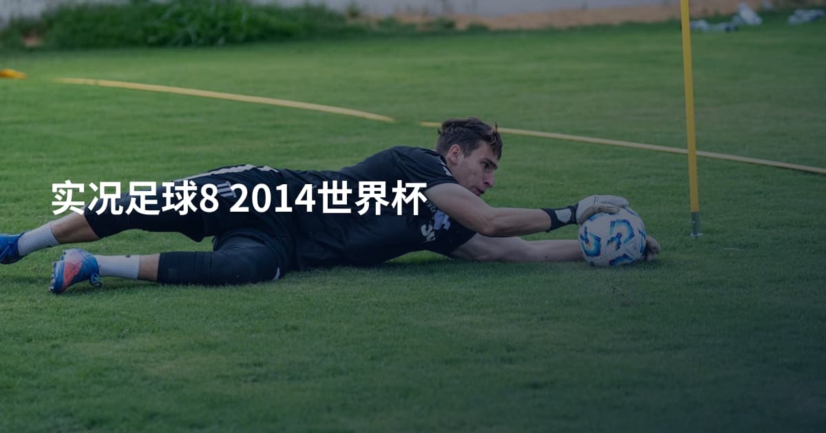 实况足球8 2014世界杯
