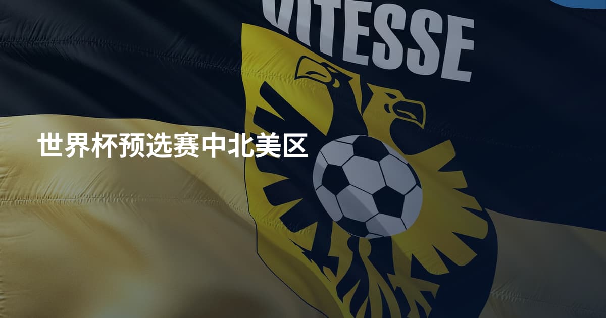 世界杯预选赛中北美区