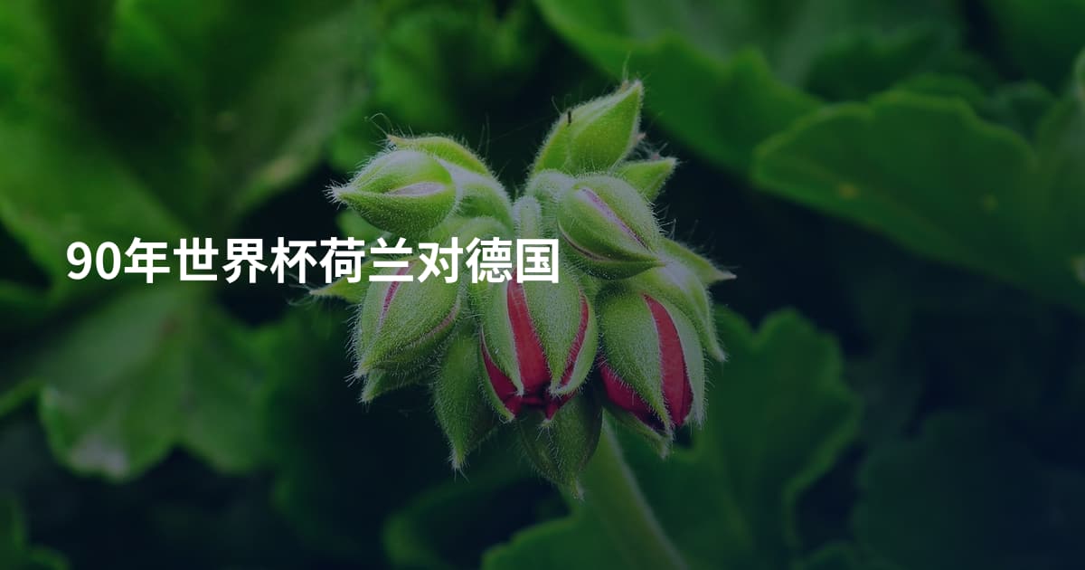 90年世界杯荷兰对德国
