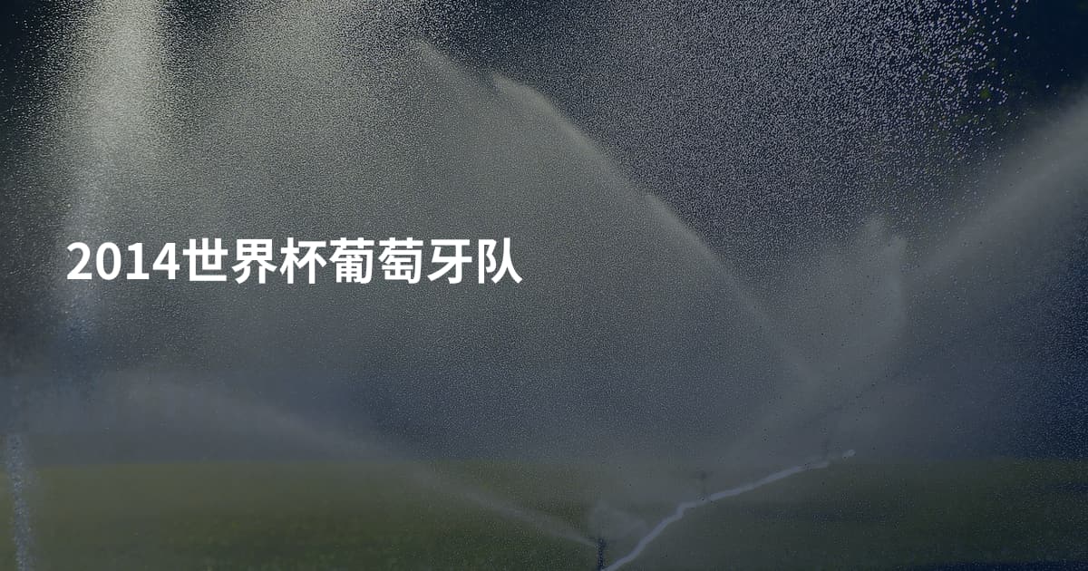 2014世界杯葡萄牙队