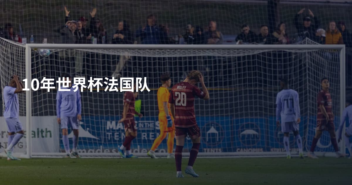 10年世界杯法国队