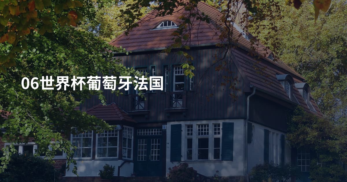06世界杯葡萄牙法国