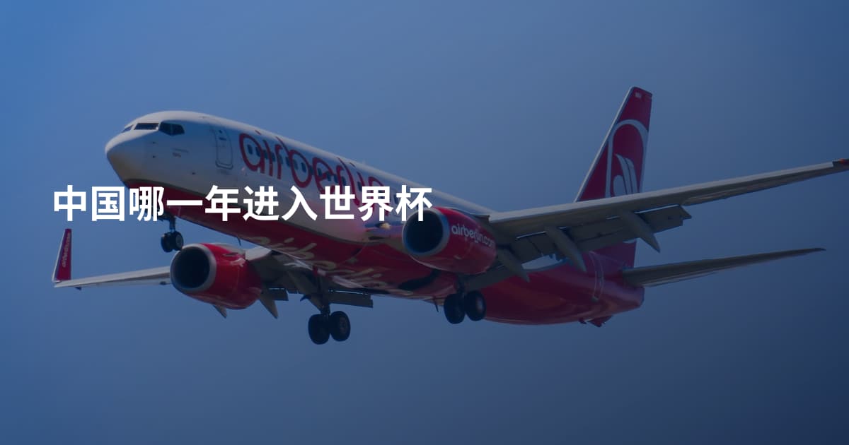 中国哪一年进入世界杯