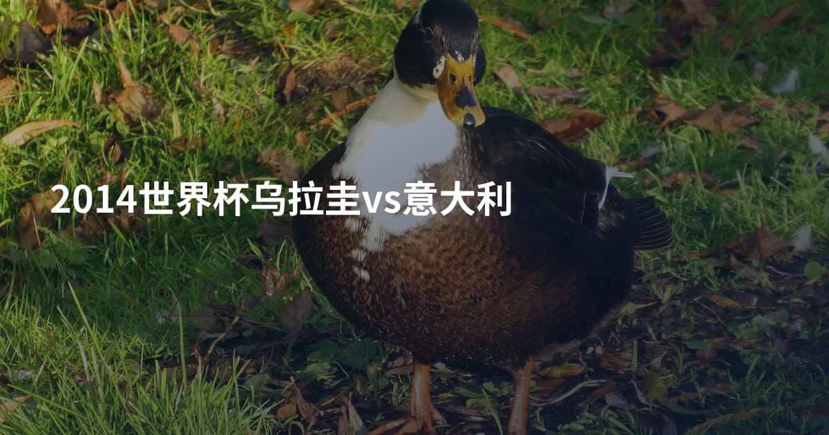 2014世界杯乌拉圭vs意大利
