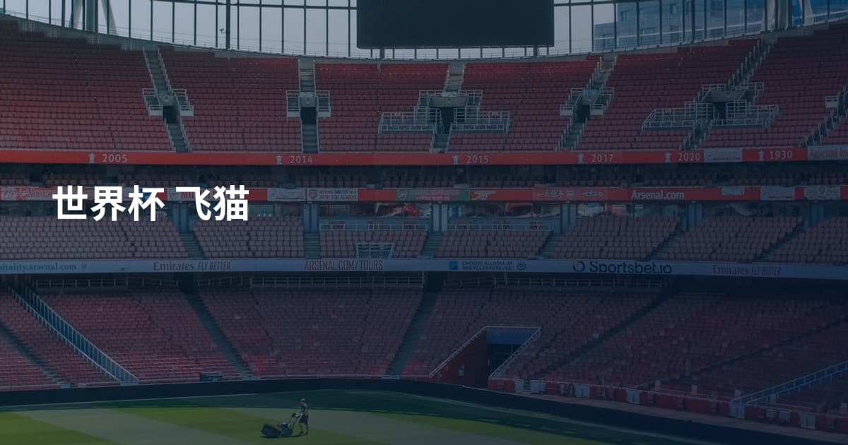 世界杯 飞猫