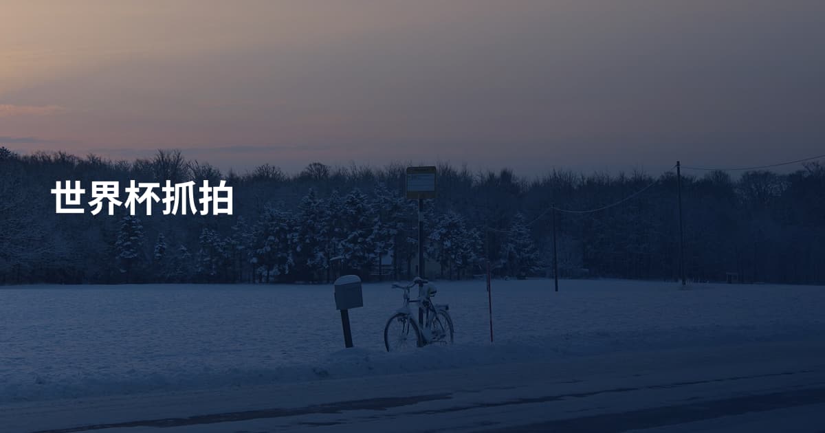 世界杯抓拍