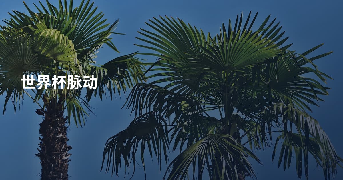 世界杯脉动