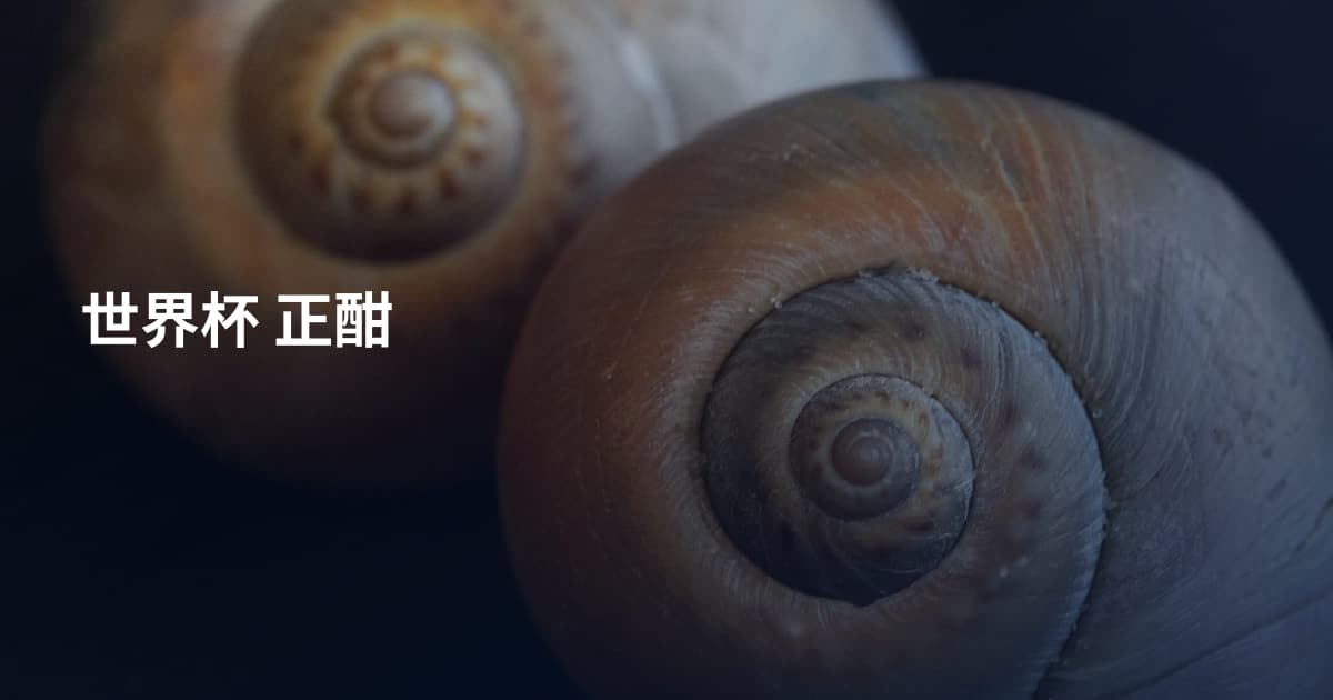 世界杯 正酣