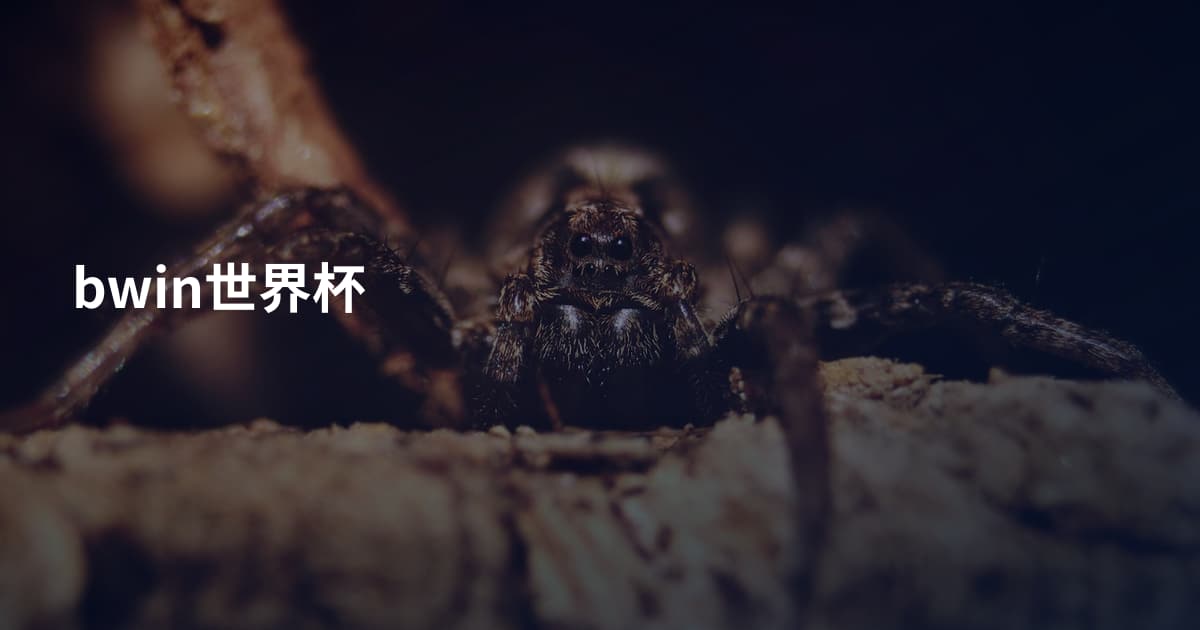 bwin世界杯