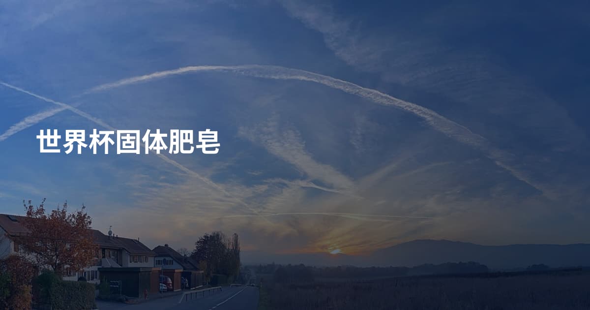 世界杯固体肥皂