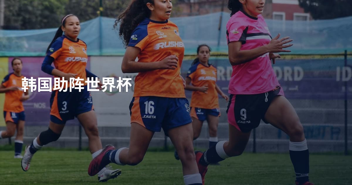 韩国助阵世界杯