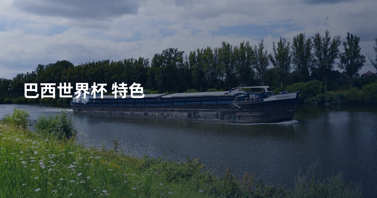 巴西世界杯 特色