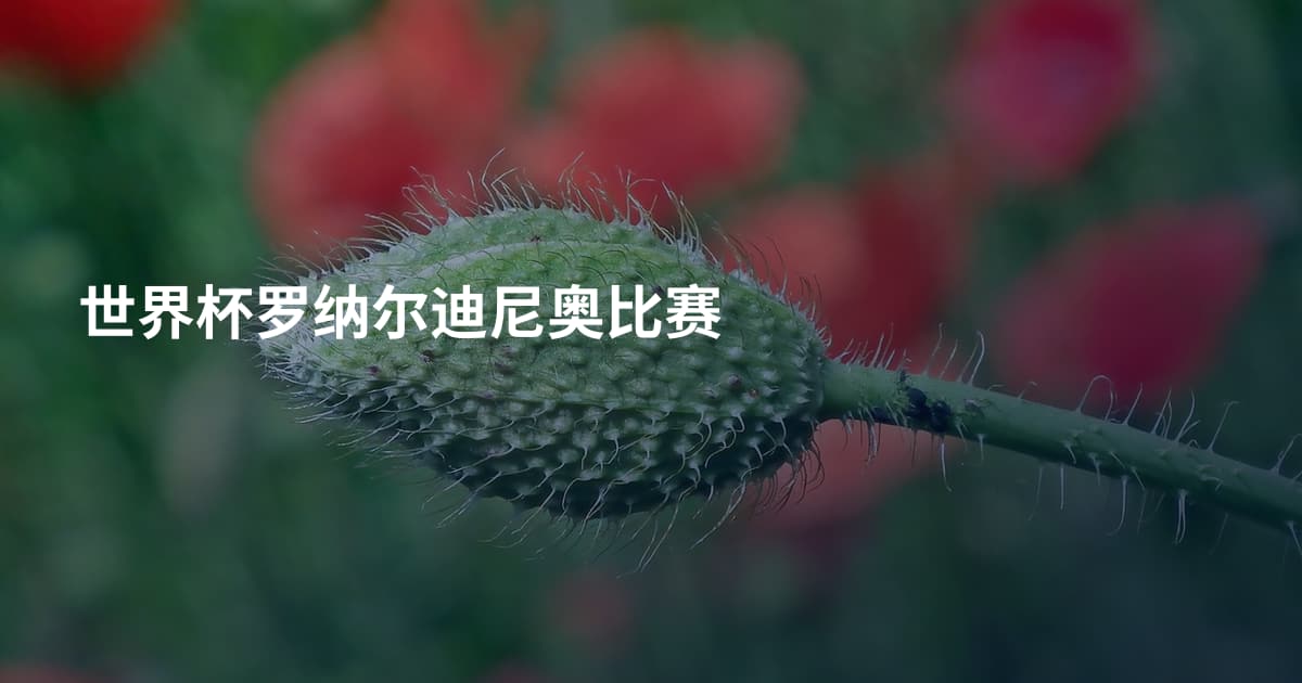 世界杯罗纳尔迪尼奥比赛