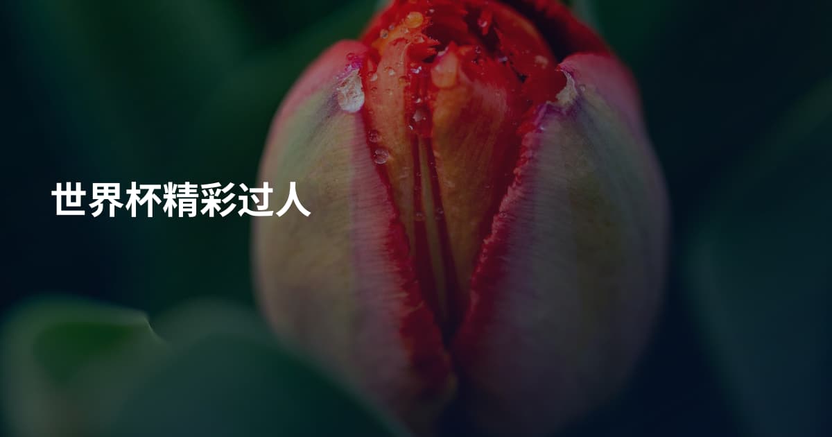 世界杯精彩过人
