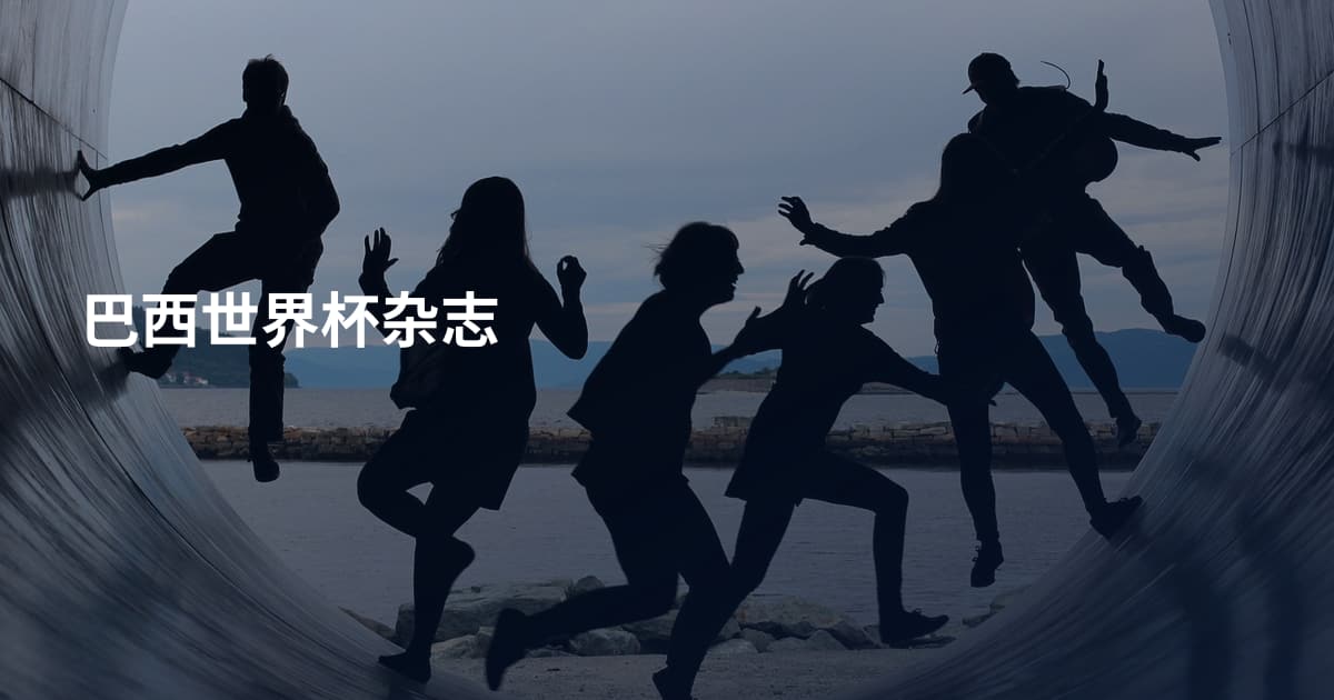 巴西世界杯杂志