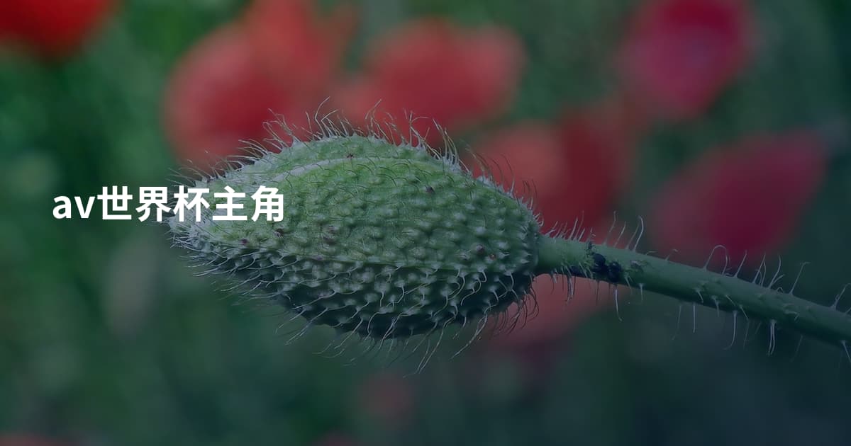 av世界杯主角