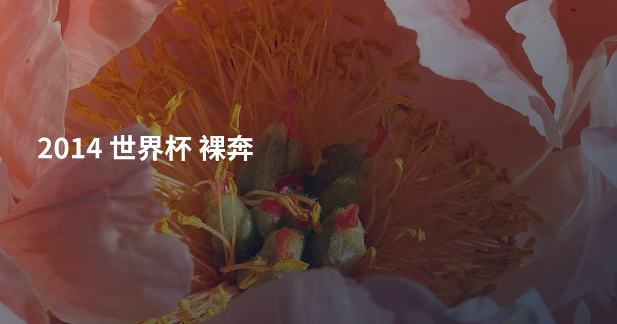 2014 世界杯 裸奔