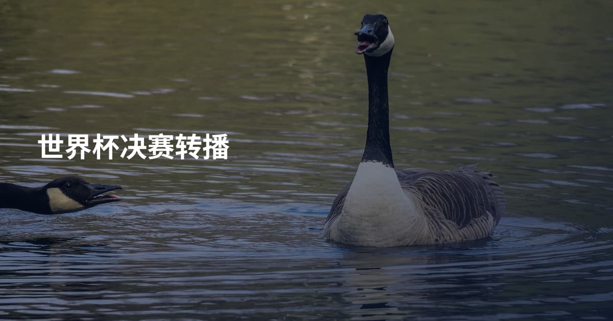世界杯决赛转播