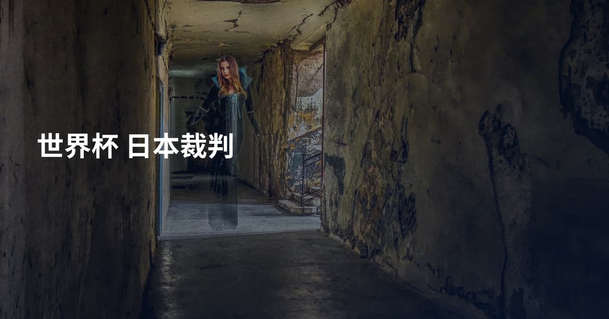世界杯 日本裁判