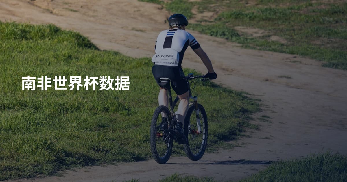南非世界杯数据