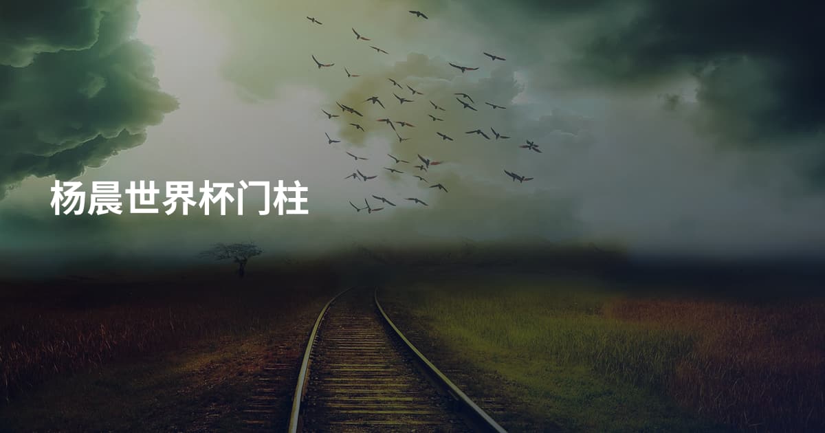 杨晨世界杯门柱