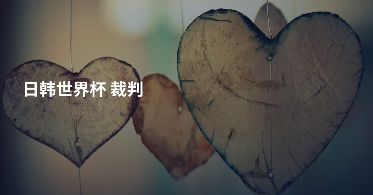 日韩世界杯 裁判