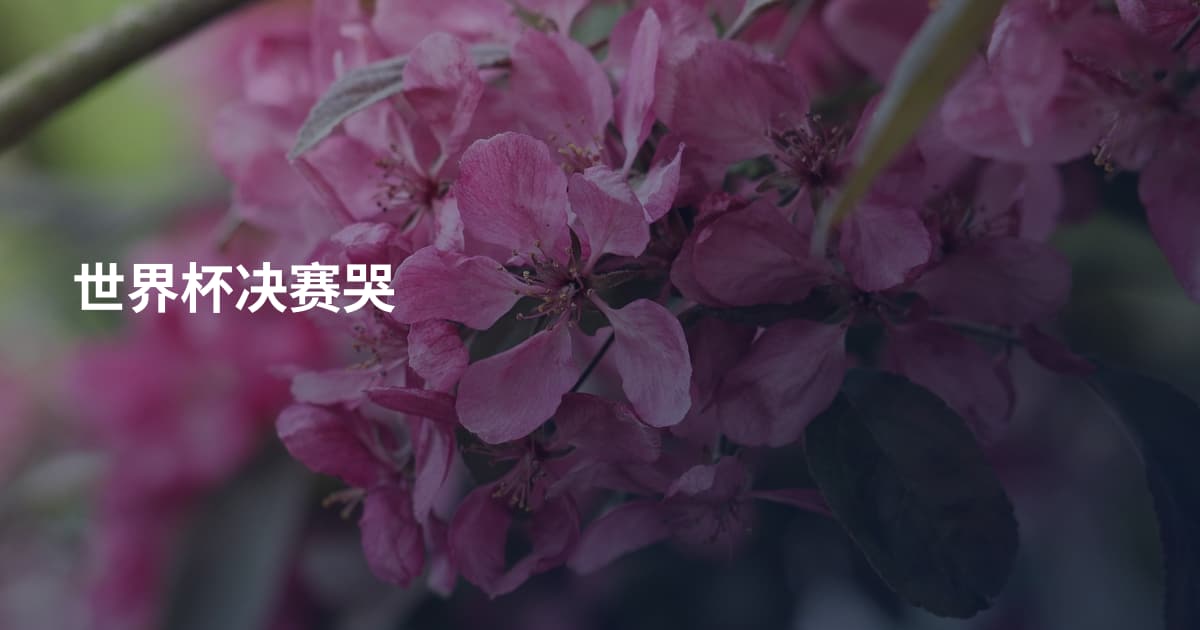 世界杯决赛哭