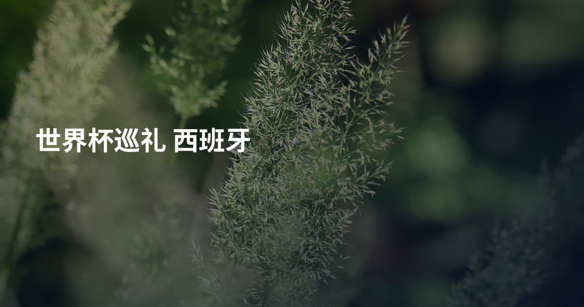 世界杯巡礼 西班牙