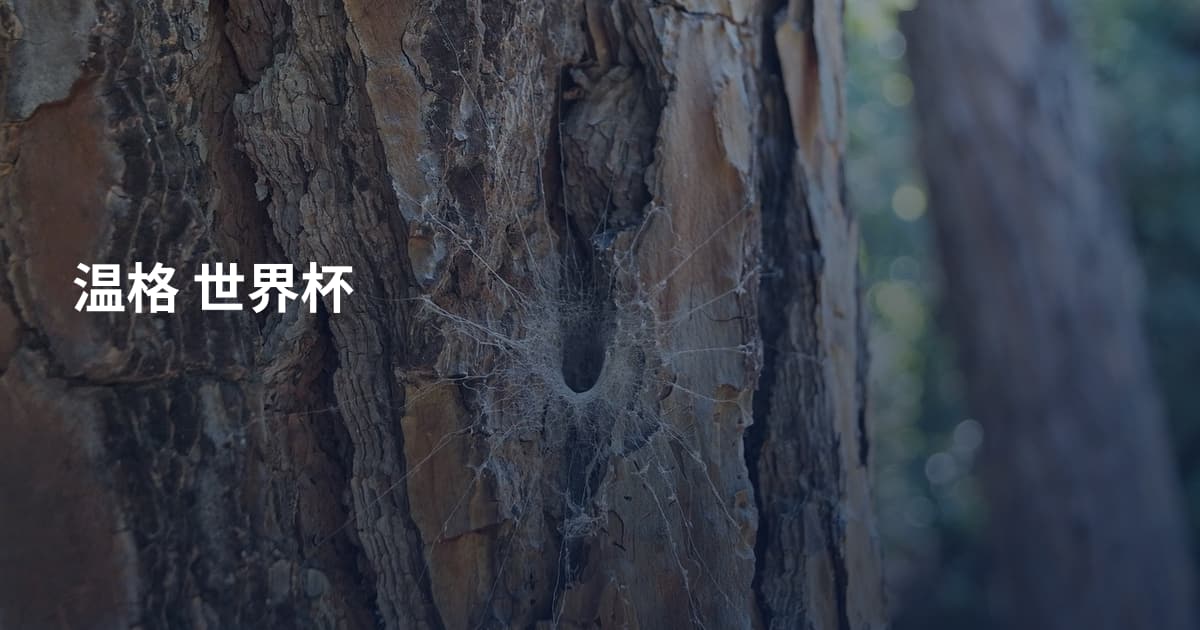 温格 世界杯