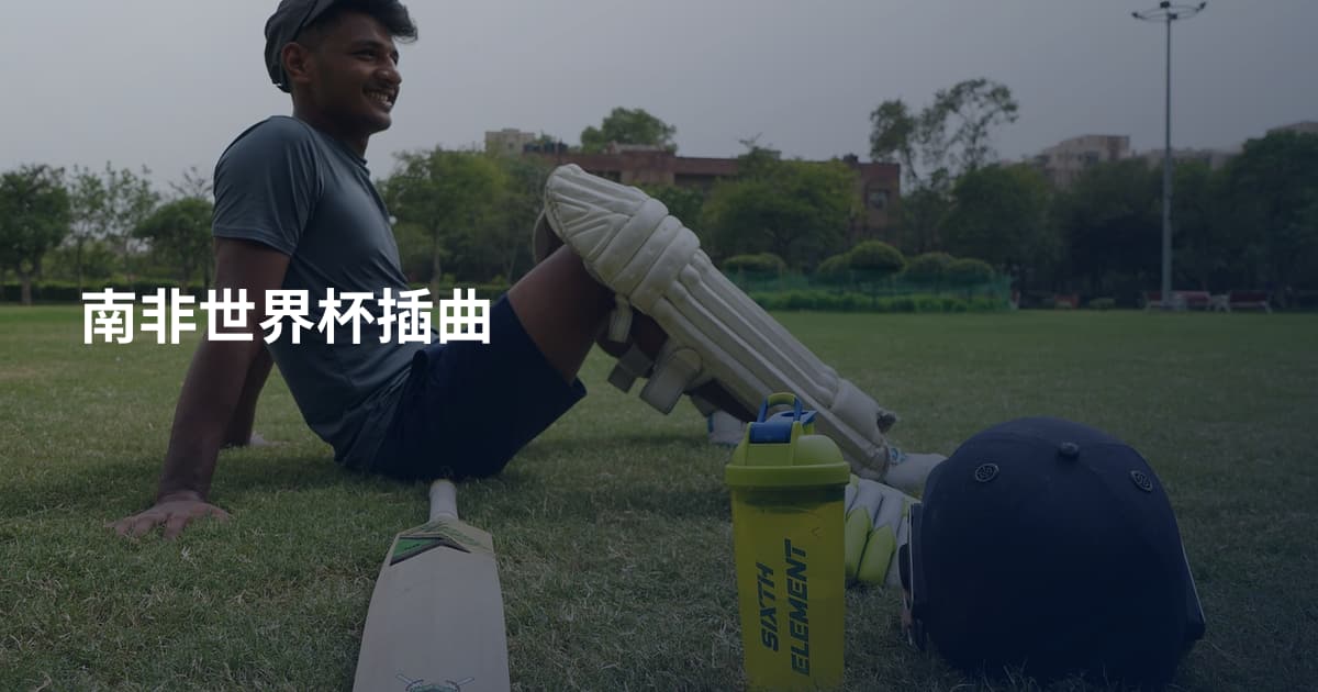 南非世界杯插曲