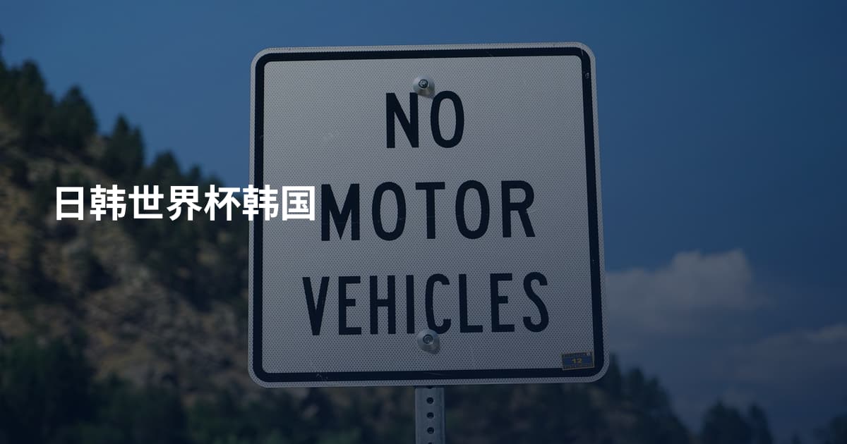日韩世界杯韩国