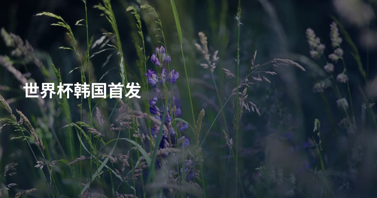世界杯韩国首发