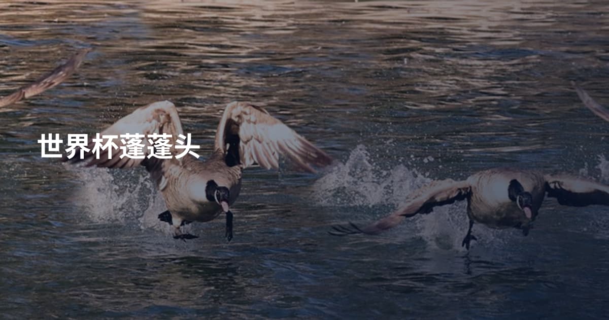 世界杯蓬蓬头