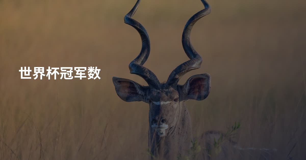 世界杯冠军数