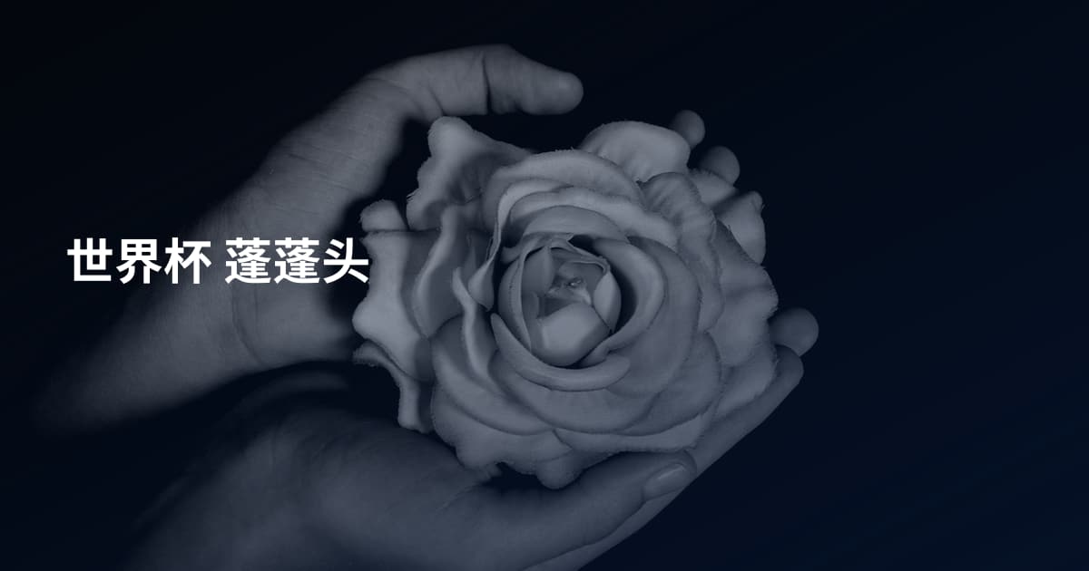 世界杯 蓬蓬头