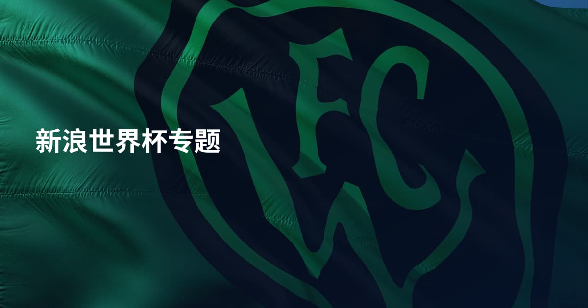 新浪世界杯专题