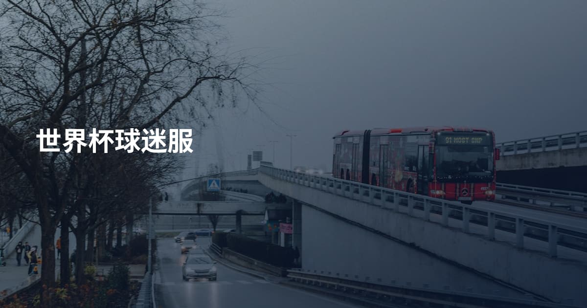 世界杯球迷服