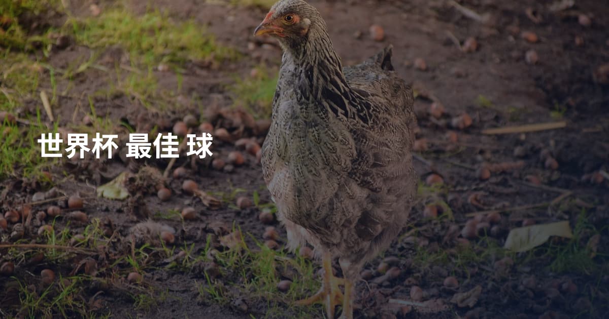 世界杯 最佳 球