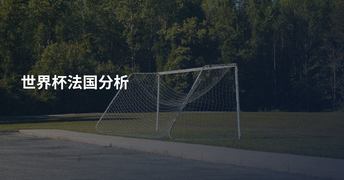 世界杯法国分析
