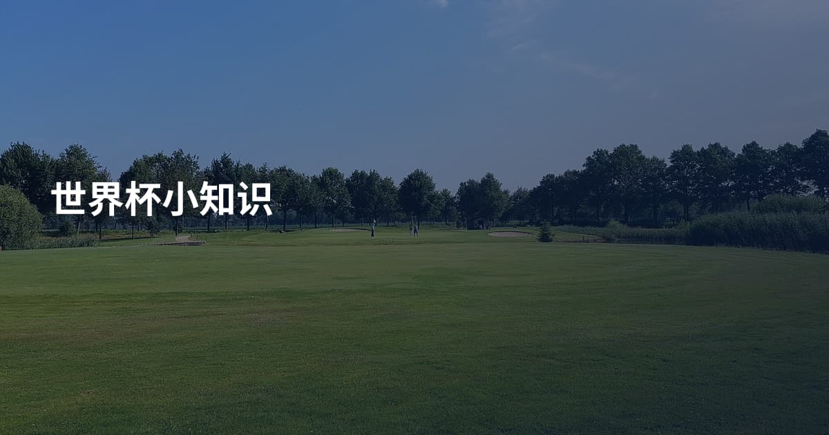 世界杯小知识
