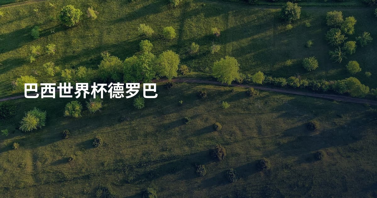 巴西世界杯德罗巴