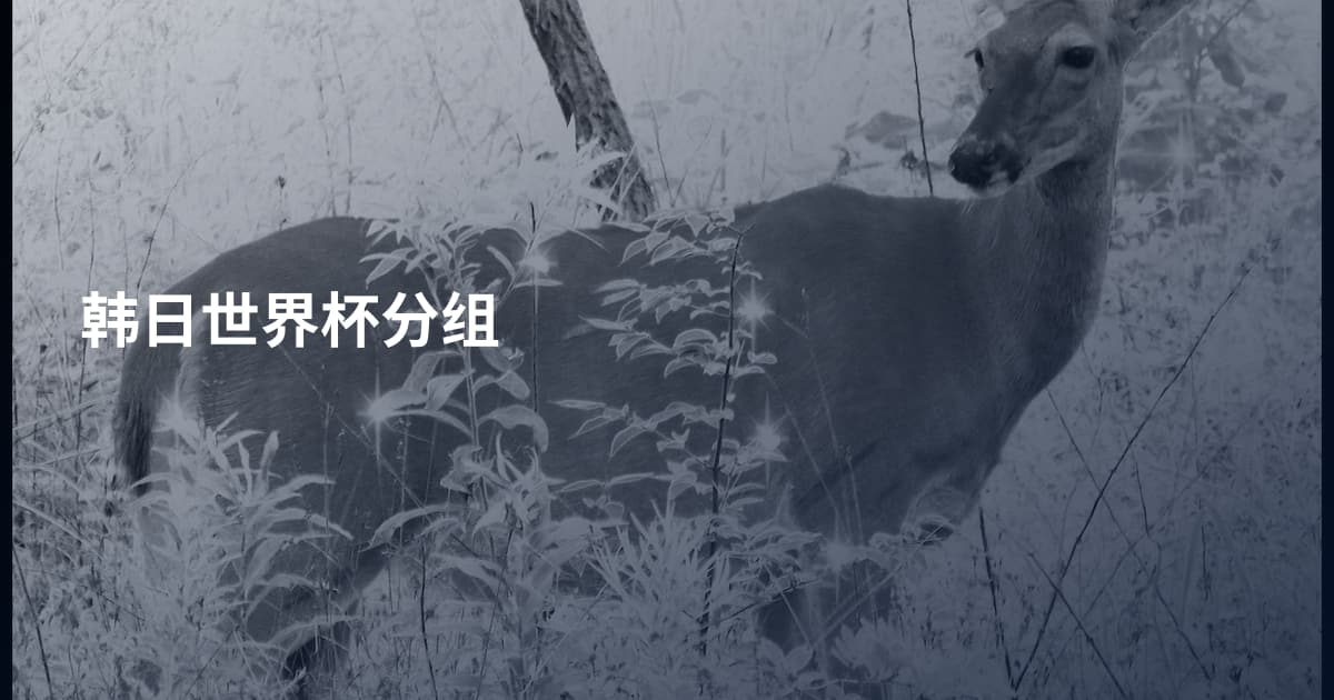 韩日世界杯分组