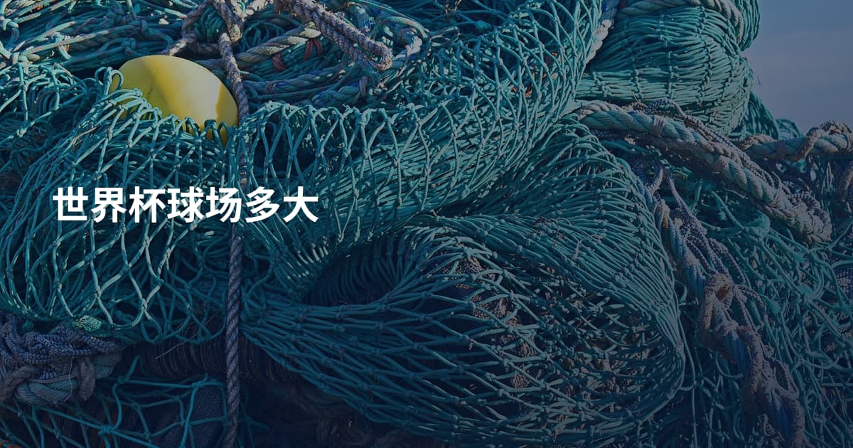世界杯球场多大