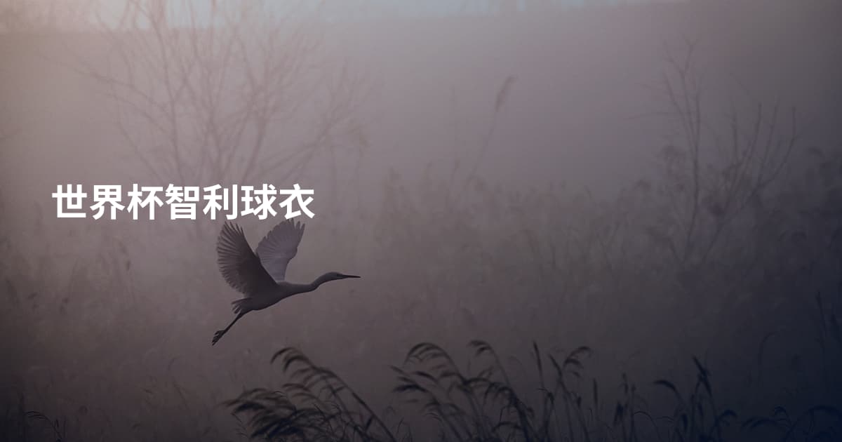 世界杯智利球衣