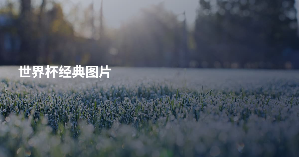 世界杯经典图片