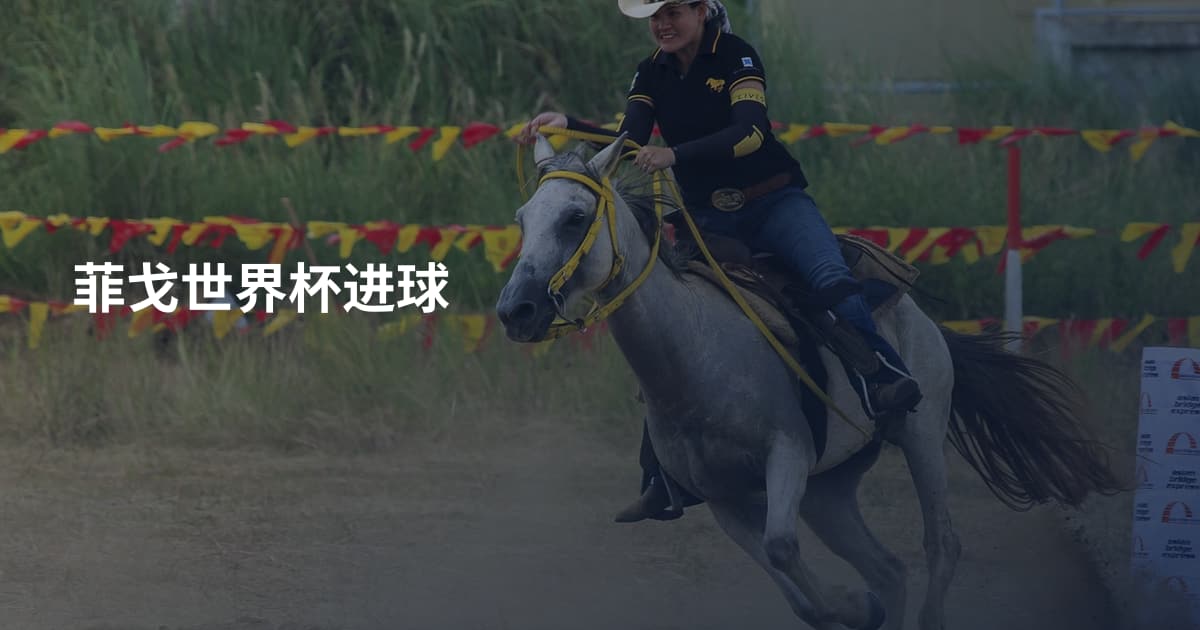 菲戈世界杯进球