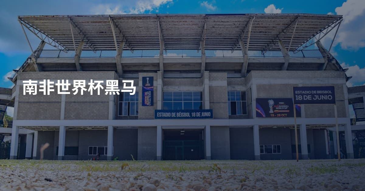 南非世界杯黑马