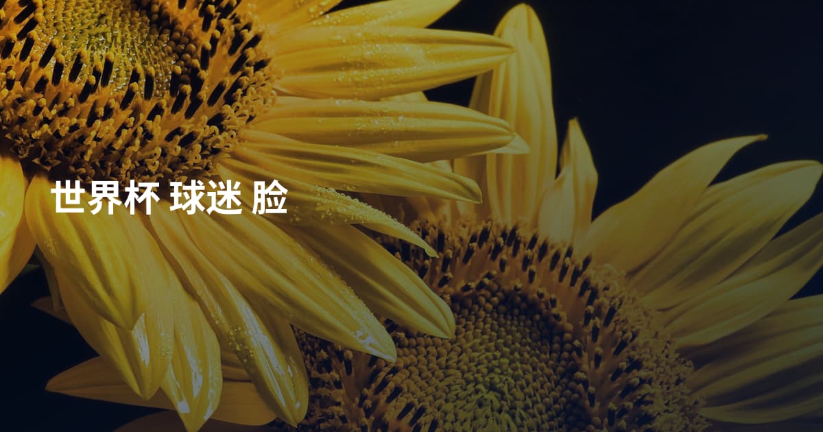 世界杯 球迷 脸