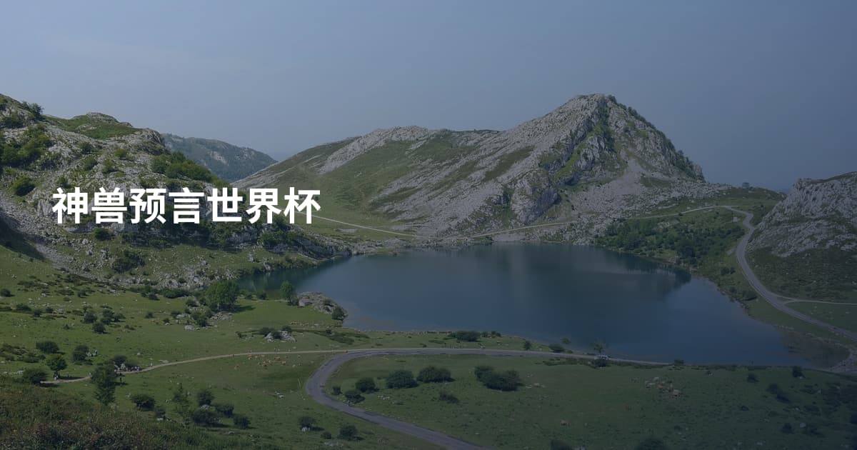 神兽预言世界杯